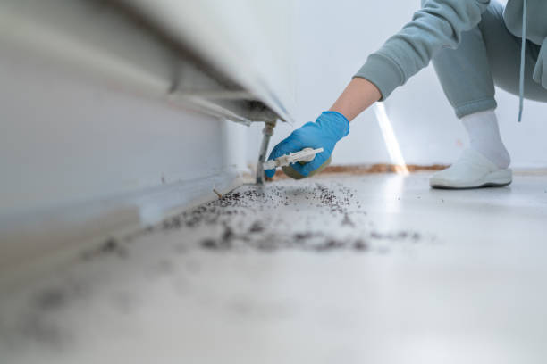 Pest Prevention Services in Oceano, CA